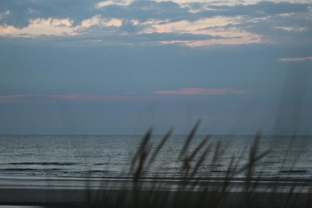 Hotel Westendia And Free Parking Top Breakfast Westende Exteriér fotografie
